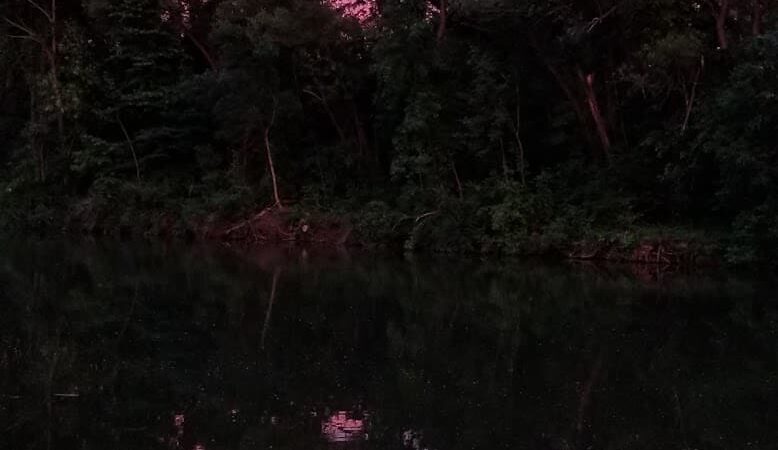 Rose Turner Park - Spencerport, NY