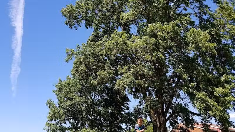 Balfour Park - Spokane Valley, WA