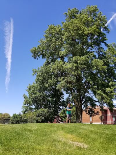 Balfour Park - Spokane Valley, WA