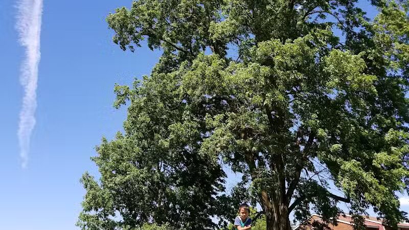 Balfour Park - Spokane Valley, WA