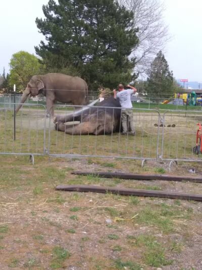 Balfour Park - Spokane Valley, WA