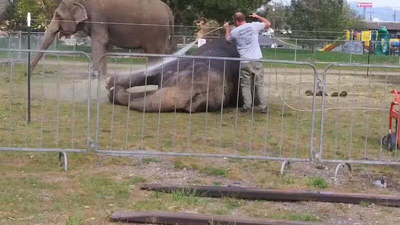 Balfour Park - Spokane Valley, WA