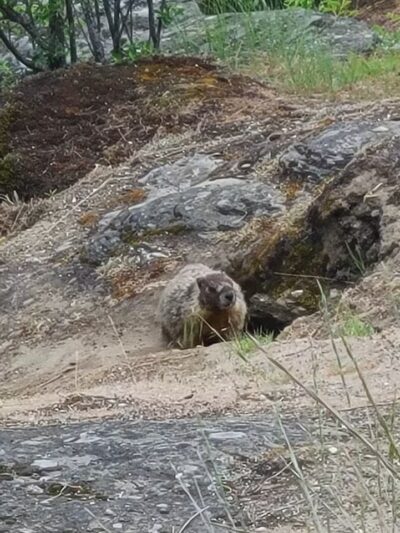 Mirabeau Point - Spokane Valley, WA