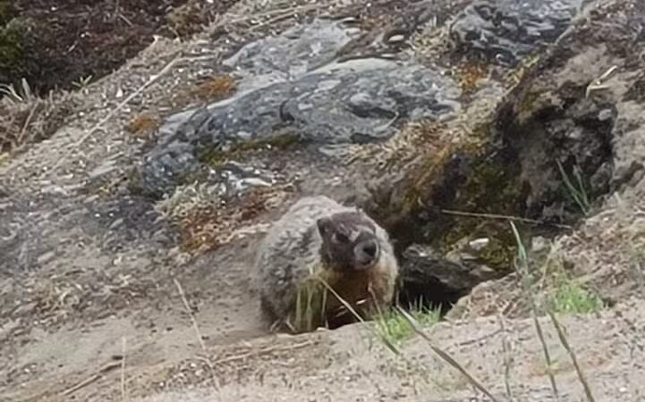 Mirabeau Point - Spokane Valley, WA
