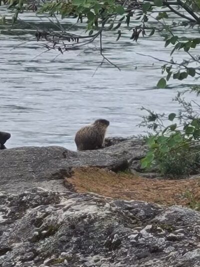 Mirabeau Point - Spokane Valley, WA