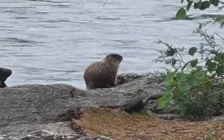 Mirabeau Point - Spokane Valley, WA
