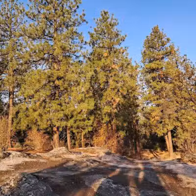 Mirabeau Point - Spokane Valley, WA