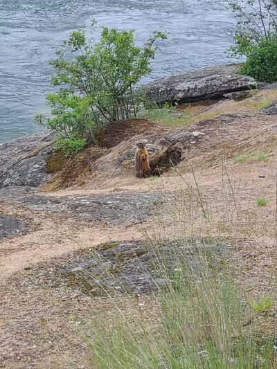 Mirabeau Point - Spokane Valley, WA