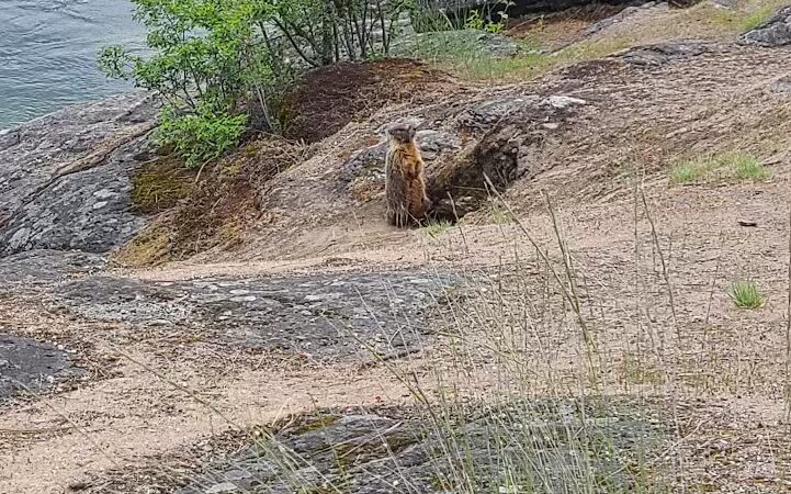 Mirabeau Point - Spokane Valley, WA
