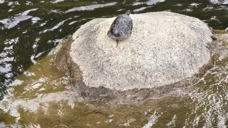Mirabeau Point - Spokane Valley, WA