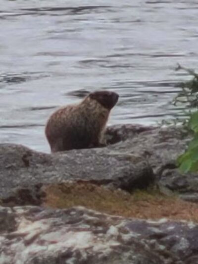 Mirabeau Point - Spokane Valley, WA