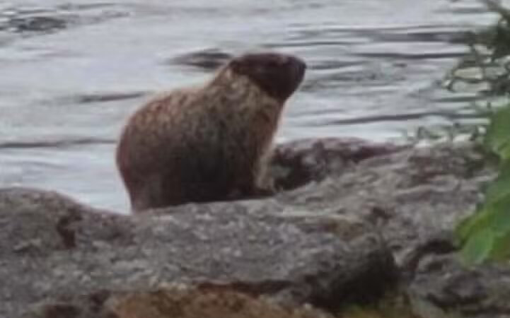 Mirabeau Point - Spokane Valley, WA