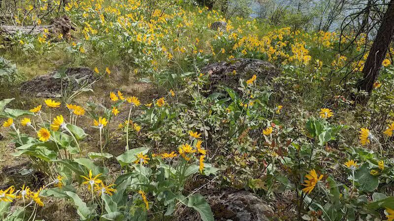 Sullivan Park - Spokane Valley, WA