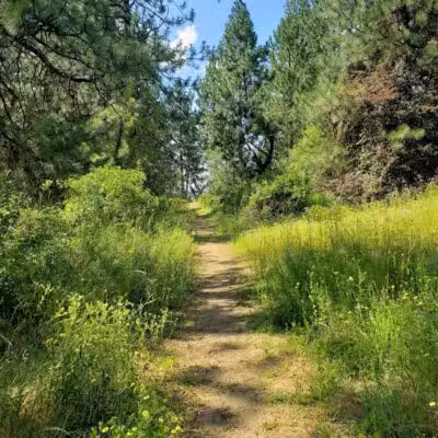 Sullivan Park - Spokane Valley, WA