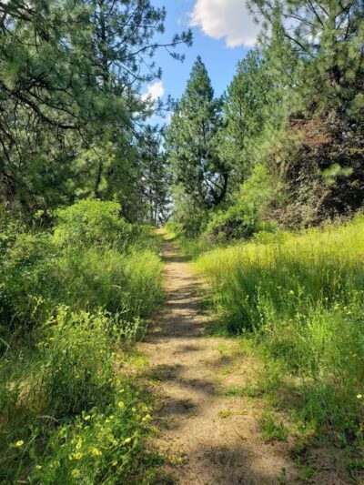 Sullivan Park - Spokane Valley, WA