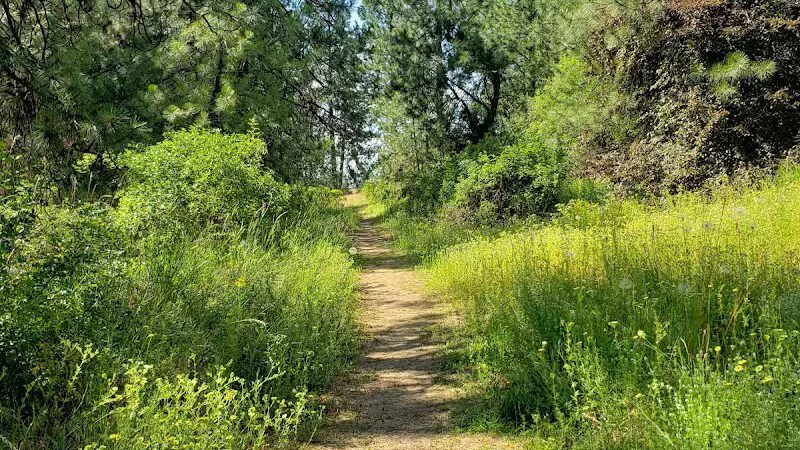 Sullivan Park - Spokane Valley, WA