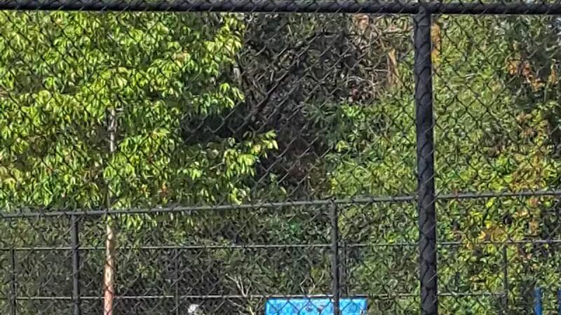 Valley Mission Dog Park - Spokane Valley, WA