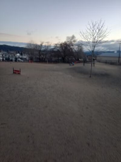 Valley Mission Dog Park - Spokane Valley, WA