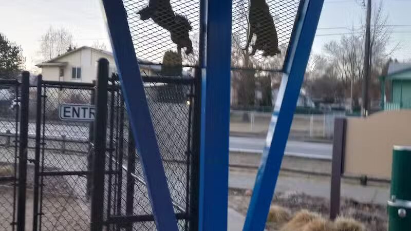 Valley Mission Dog Park - Spokane Valley, WA