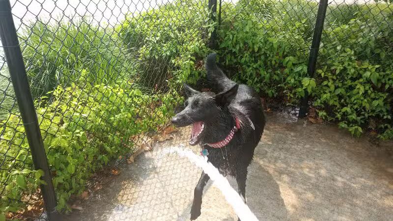 Valley Mission Dog Park - Spokane Valley, WA