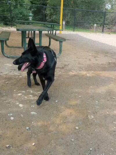 Valley Mission Dog Park - Spokane Valley, WA