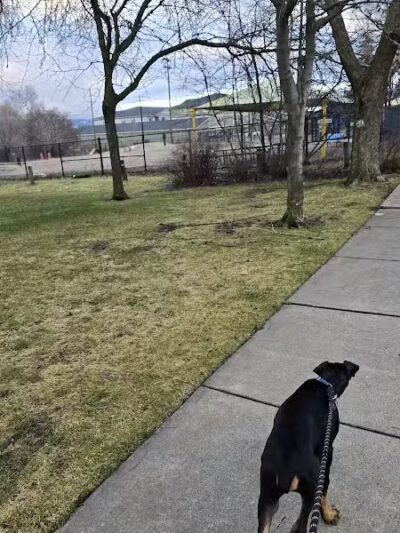 Valley Mission Dog Park - Spokane Valley, WA