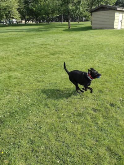 Valley Mission Park - Spokane Valley, WA