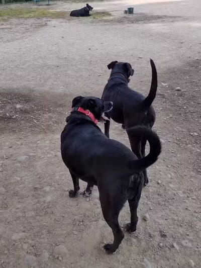 Valley Mission Park - Spokane Valley, WA