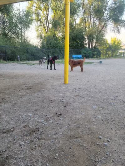 Valley Mission Park - Spokane Valley, WA