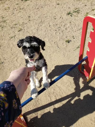 Valley Mission Park - Spokane Valley, WA