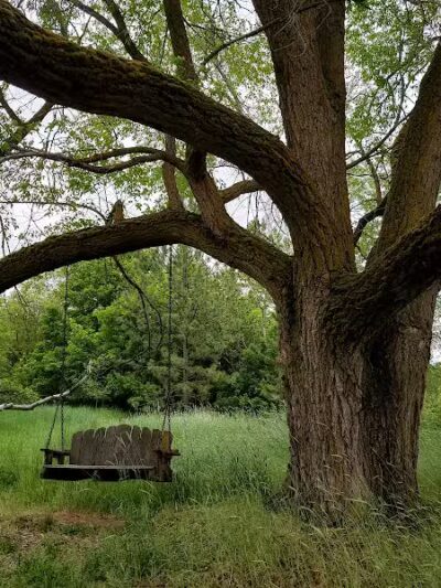 People's Park Parking Lot - Spokane, WA
