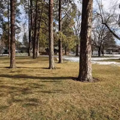 Audubon Park - Spokane, WA