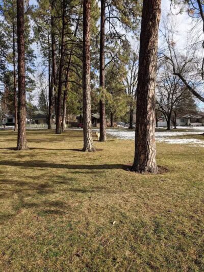 Audubon Park - Spokane, WA