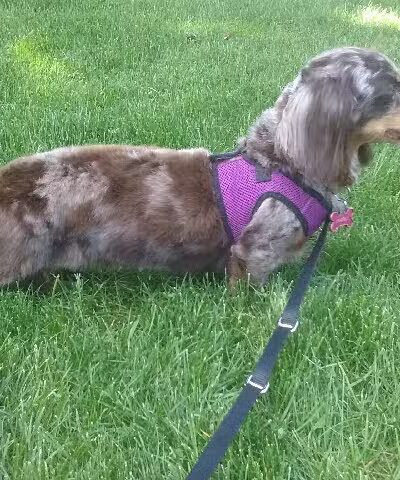 B.A. Clark Park - Spokane, WA