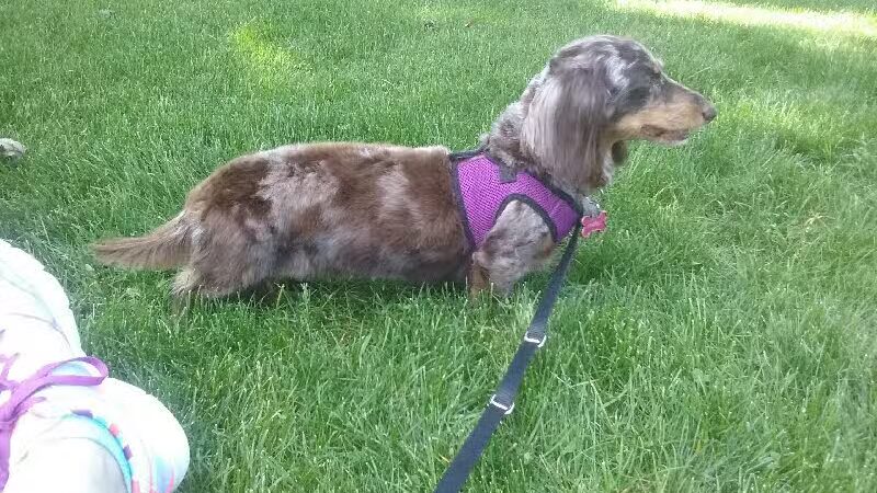 B.A. Clark Park - Spokane, WA