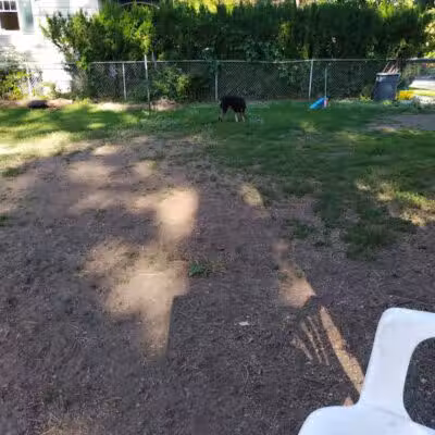 Browne's Addition Dog Park - Spokane, WA