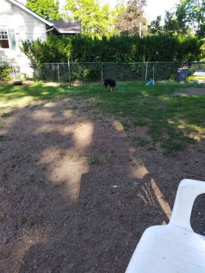 Browne's Addition Dog Park - Spokane, WA