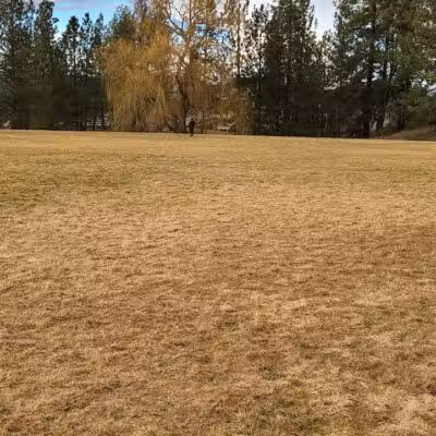 Camelot Park - Spokane, WA