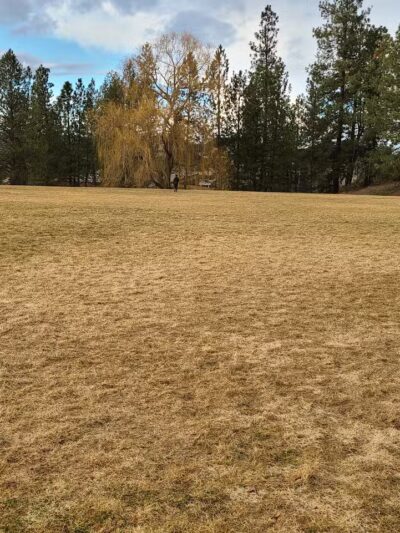 Camelot Park - Spokane, WA