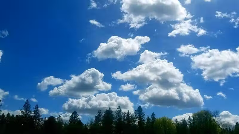 Camelot Park - Spokane, WA