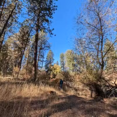 Donkey Island Trailhead - Spokane, WA