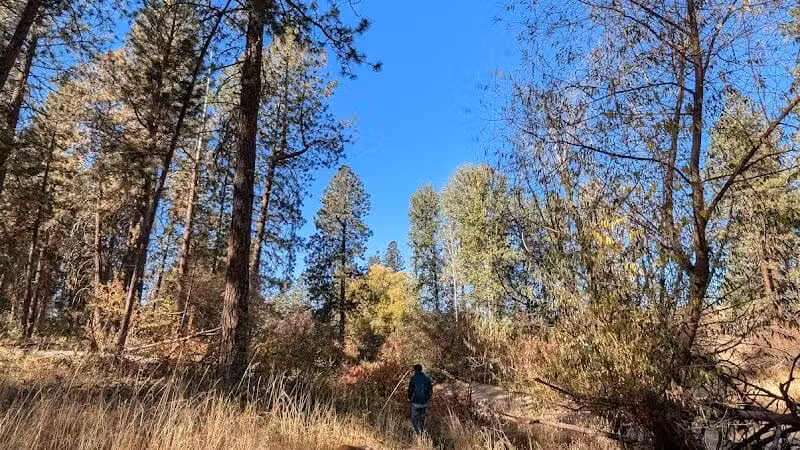 Donkey Island Trailhead - Spokane, WA