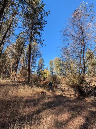 Donkey Island Trailhead - Spokane, WA