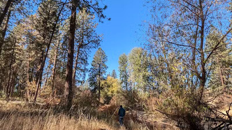 Donkey Island Trailhead - Spokane, WA