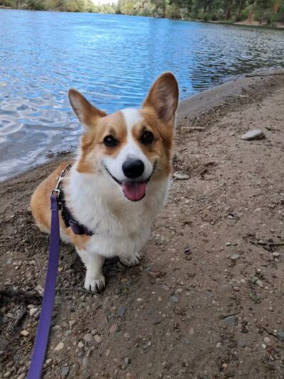 Donkey Island Trailhead - Spokane, WA