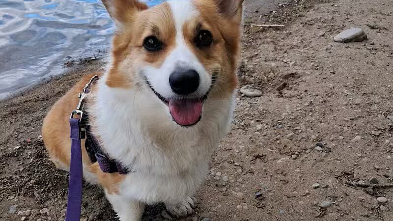 Donkey Island Trailhead - Spokane, WA