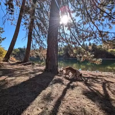 Donkey Island Trailhead - Spokane, WA