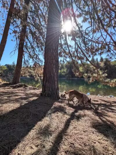 Donkey Island Trailhead - Spokane, WA