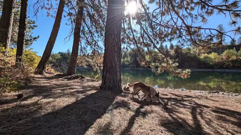 Donkey Island Trailhead - Spokane, WA