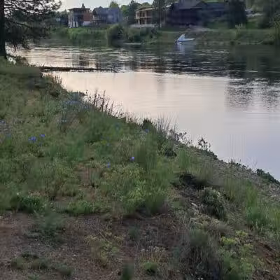 Donkey Island Trailhead - Spokane, WA
